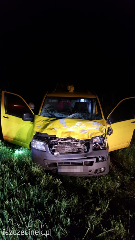 Zderzenie busa z łosiem pod Białym Borem. Zwierzę nie przeżyło