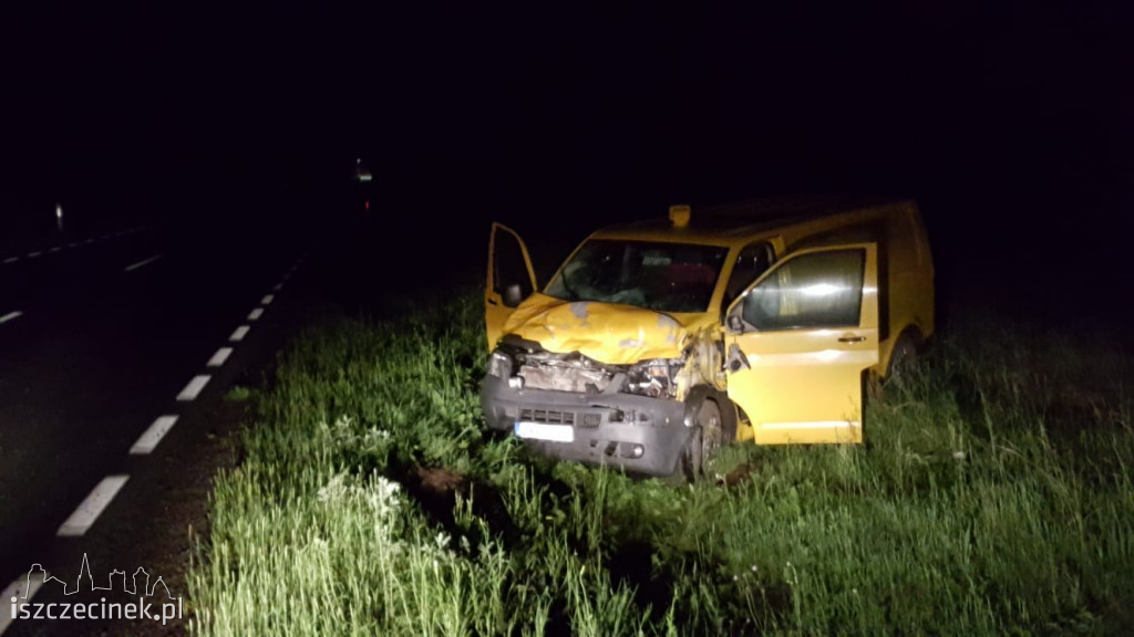 Zderzenie busa z łosiem pod Białym Borem. Zwierzę nie przeżyło