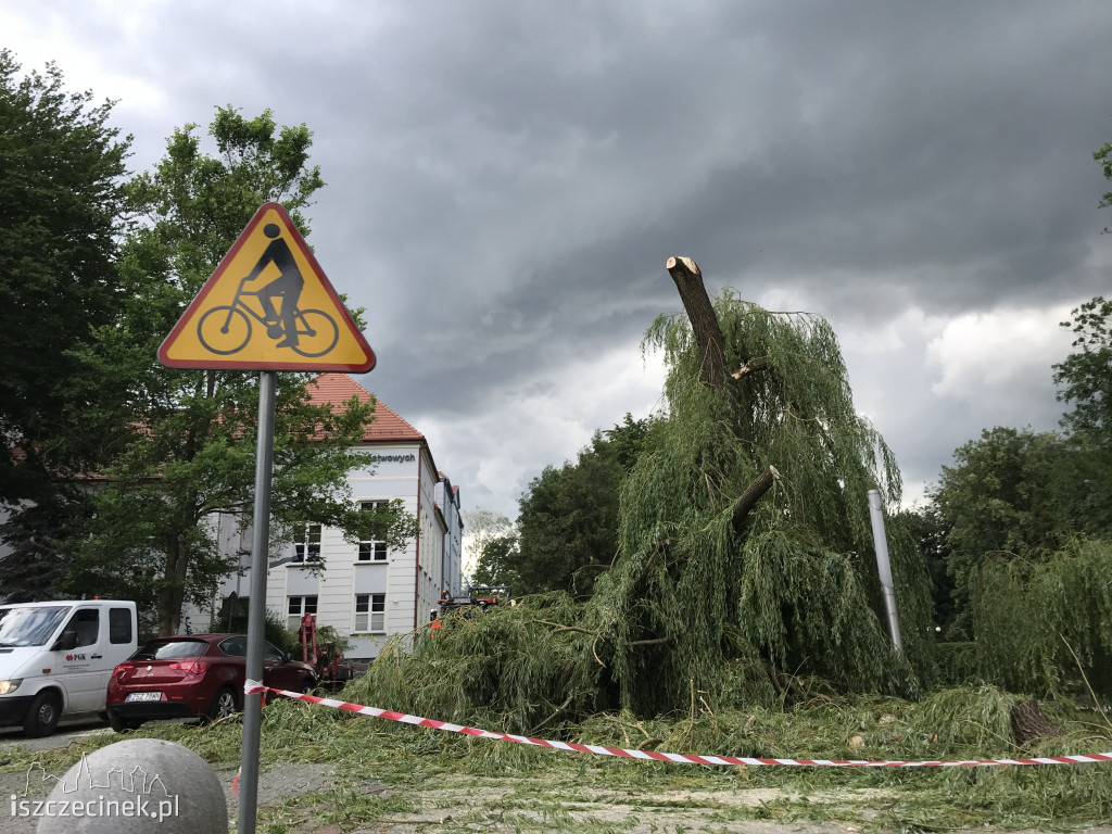 W centralnej części parku na chodnik runął ogromny konar