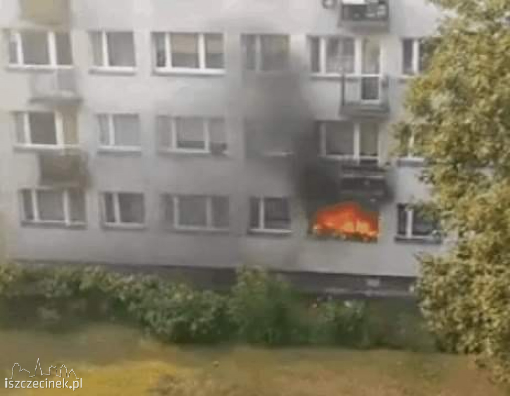 Doszczętnie spłonęło mieszkanie w centrum miasta. Ewakuacja mieszkańców