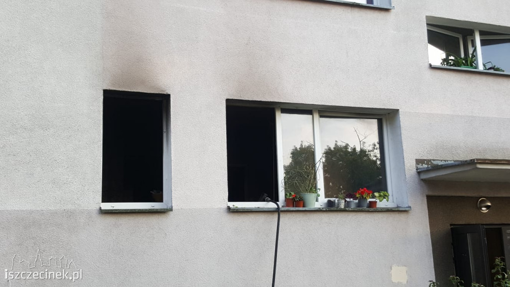 Doszczętnie spłonęło mieszkanie w centrum miasta. Ewakuacja mieszkańców