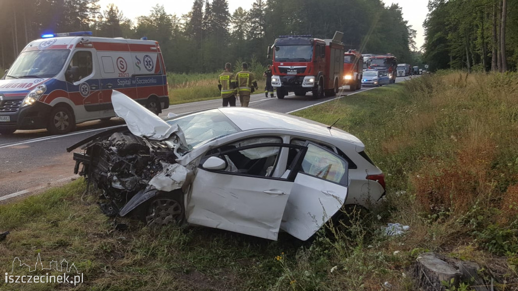 Wypadek na DK-11. Zderzenie trzech samochodów [ZDJĘCIA]