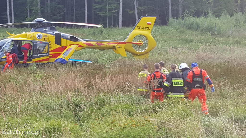 Wypadek na DK-11. Zderzenie trzech samochodów [ZDJĘCIA]