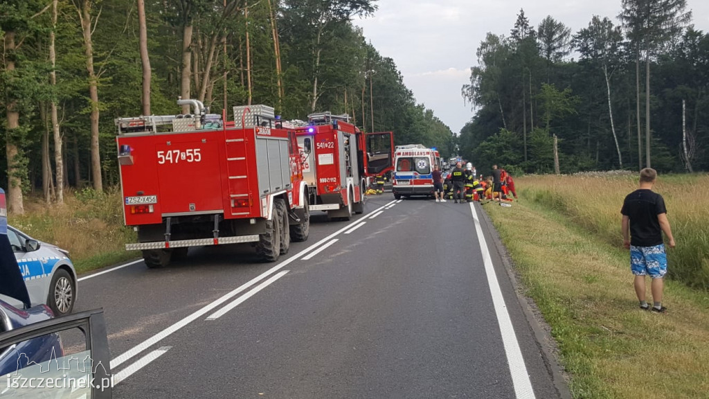 Wypadek na DK-11. Zderzenie trzech samochodów [ZDJĘCIA]