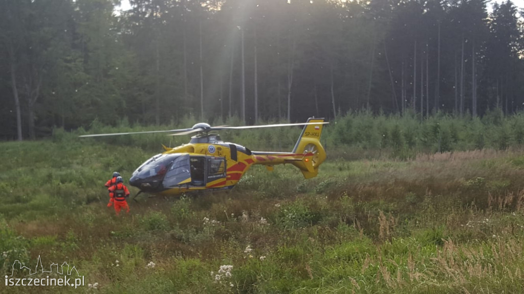 Wypadek na DK-11. Zderzenie trzech samochodów [ZDJĘCIA]