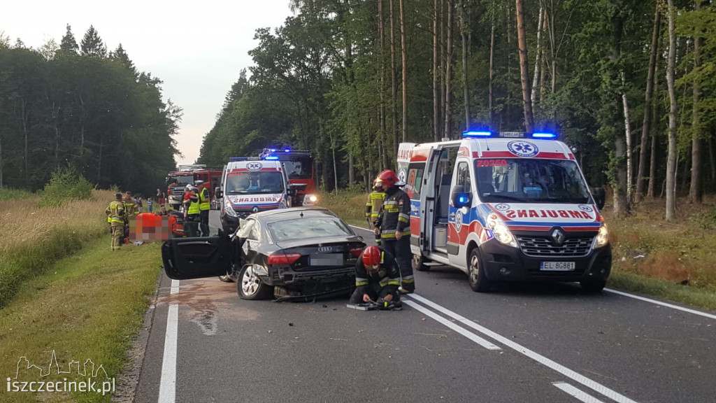 Wypadek na DK-11. Zderzenie trzech samochodów [ZDJĘCIA]