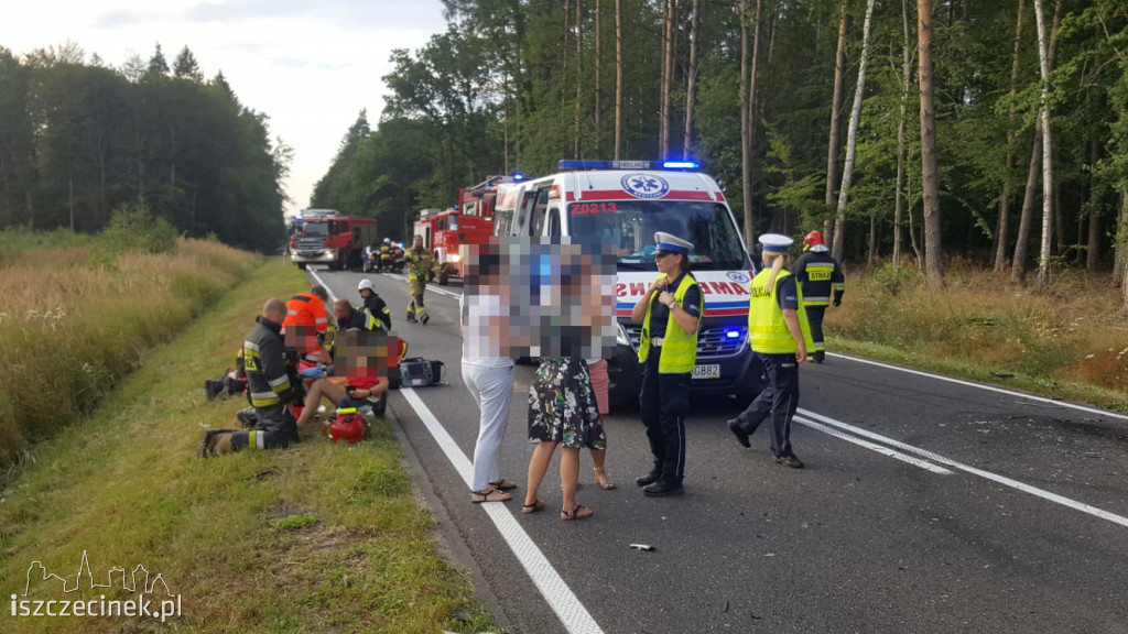 Wypadek na DK-11. Zderzenie trzech samochodów [ZDJĘCIA]