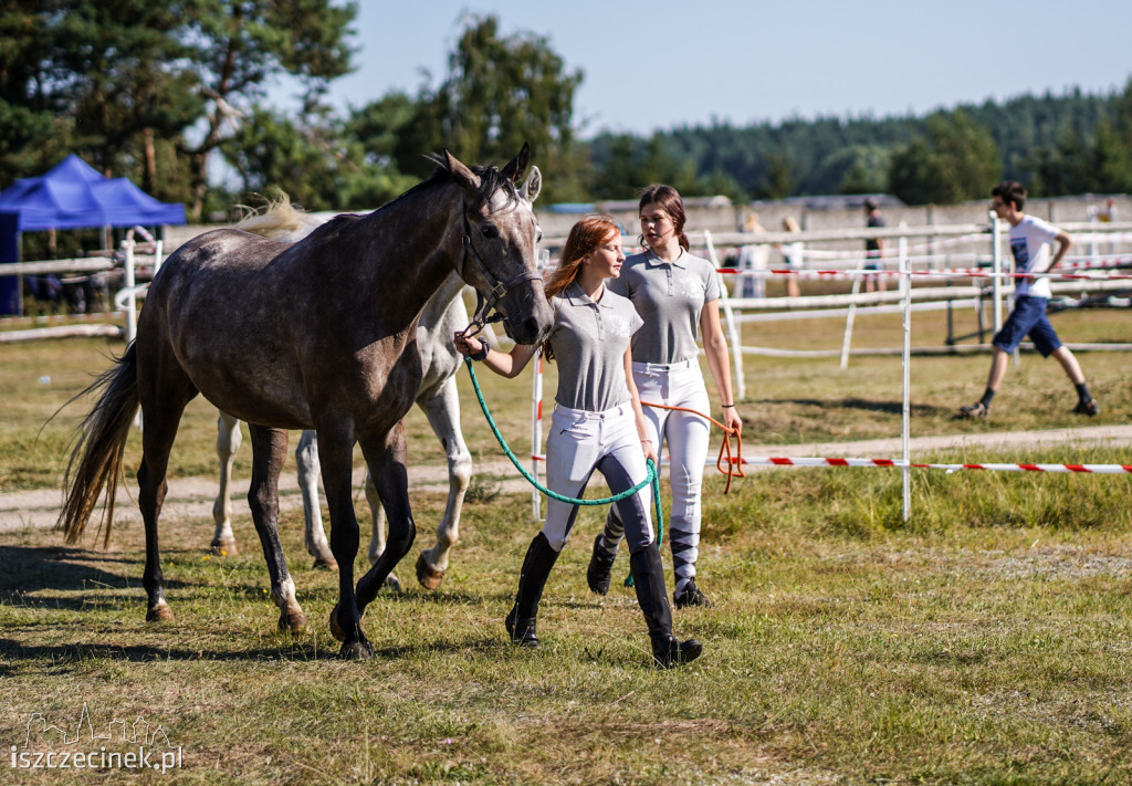 III Towarzyskie i Regionalne zawody w skokach przez przeszkody w Stajni Sportowej K&M [ZDJĘCIA]