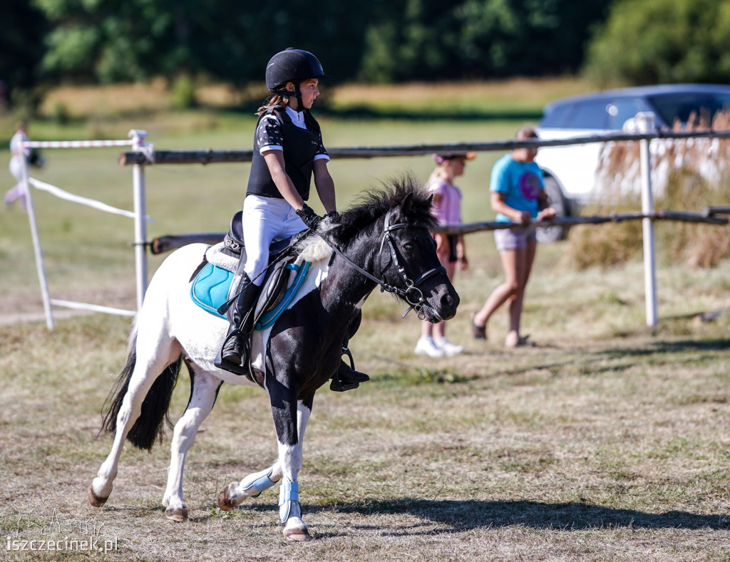 III Towarzyskie i Regionalne zawody w skokach przez przeszkody w Stajni Sportowej K&M [ZDJĘCIA]