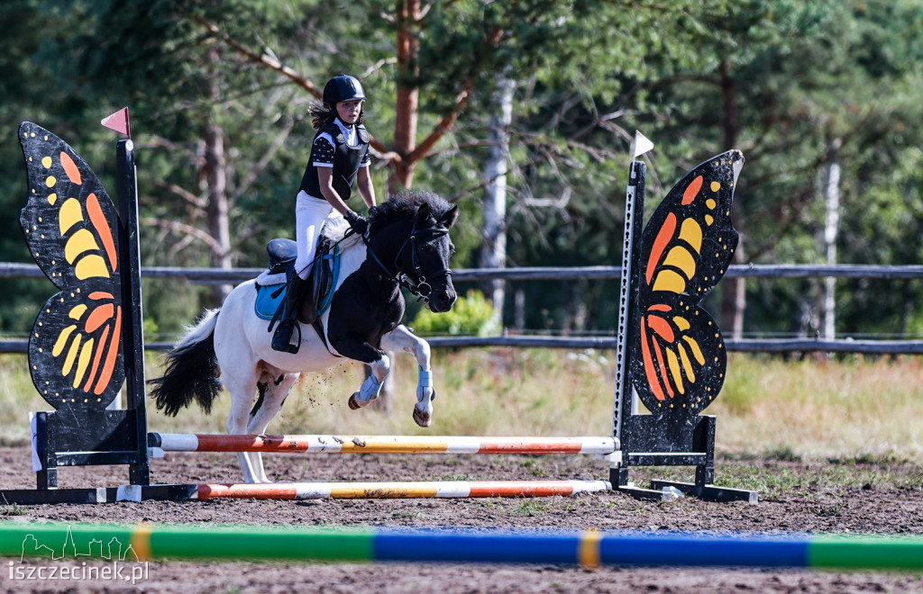 III Towarzyskie i Regionalne zawody w skokach przez przeszkody w Stajni Sportowej K&M [ZDJĘCIA]