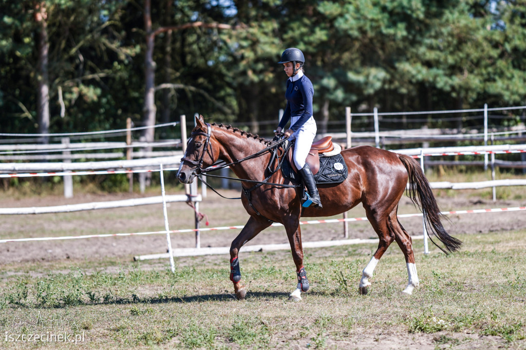 III Towarzyskie i Regionalne zawody w skokach przez przeszkody w Stajni Sportowej K&M [ZDJĘCIA]