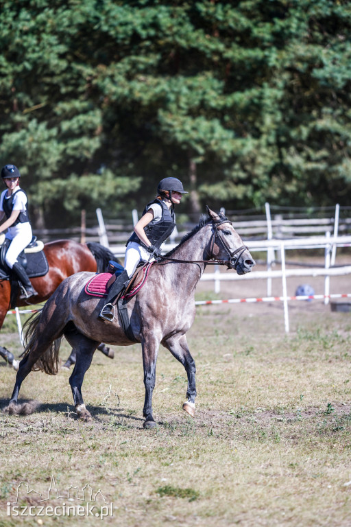 III Towarzyskie i Regionalne zawody w skokach przez przeszkody w Stajni Sportowej K&M [ZDJĘCIA]