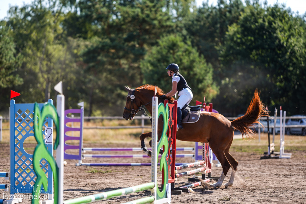 III Towarzyskie i Regionalne zawody w skokach przez przeszkody w Stajni Sportowej K&M [ZDJĘCIA]