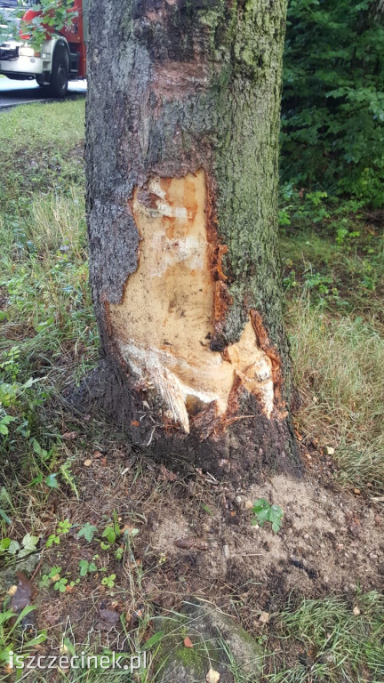 	Wypadek na trasie Szczecinek - Barwice. Opel uderzył w drzewo