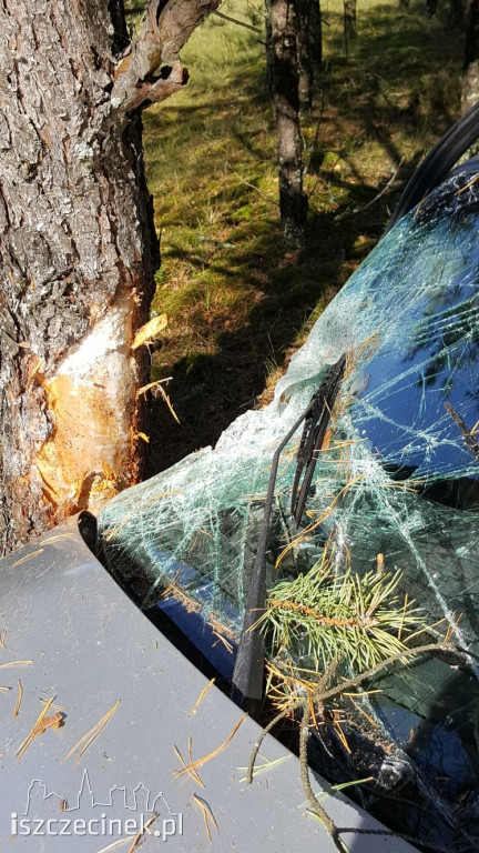 Honda uderzyła w drzewo. Młody kierowca zabrany do szpitala