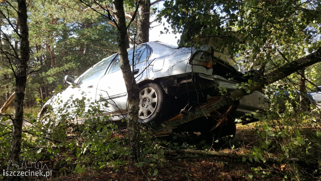 Honda uderzyła w drzewo. Młody kierowca zabrany do szpitala