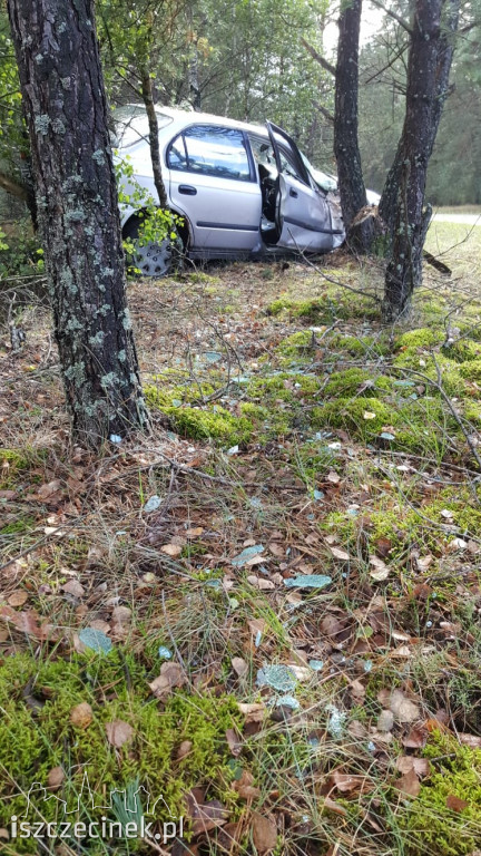 Honda uderzyła w drzewo. Młody kierowca zabrany do szpitala