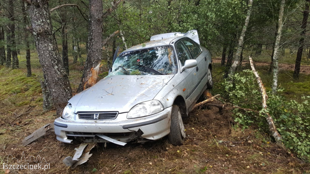 Honda uderzyła w drzewo. Młody kierowca zabrany do szpitala