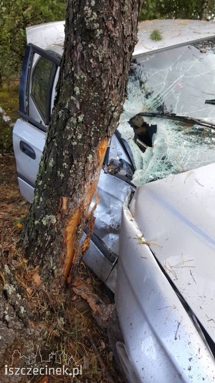 Honda uderzyła w drzewo. Młody kierowca zabrany do szpitala