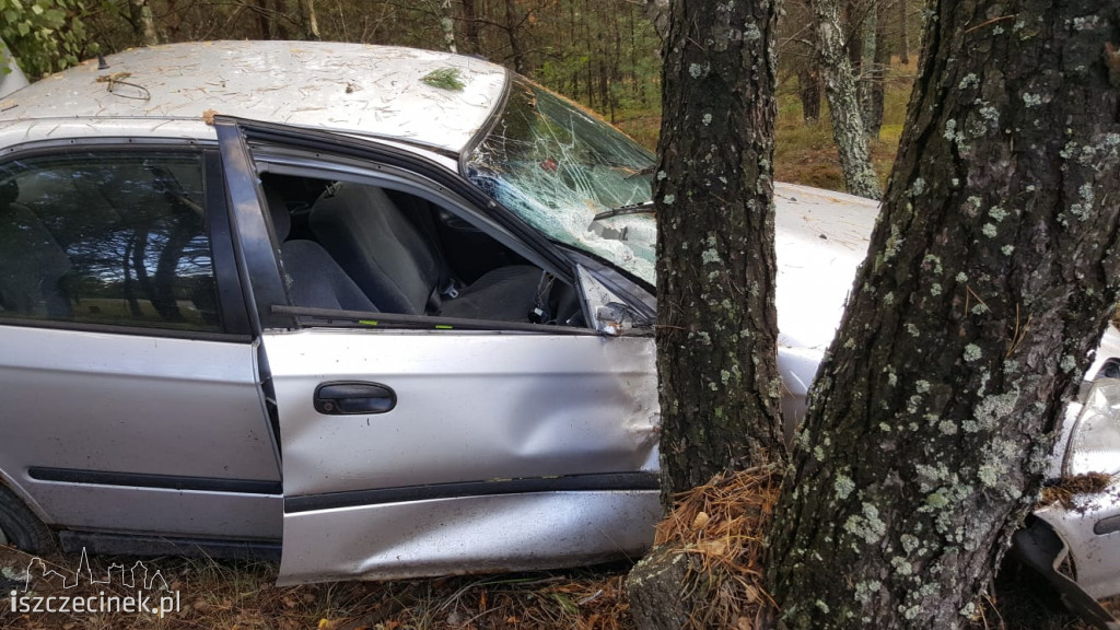 Honda uderzyła w drzewo. Młody kierowca zabrany do szpitala