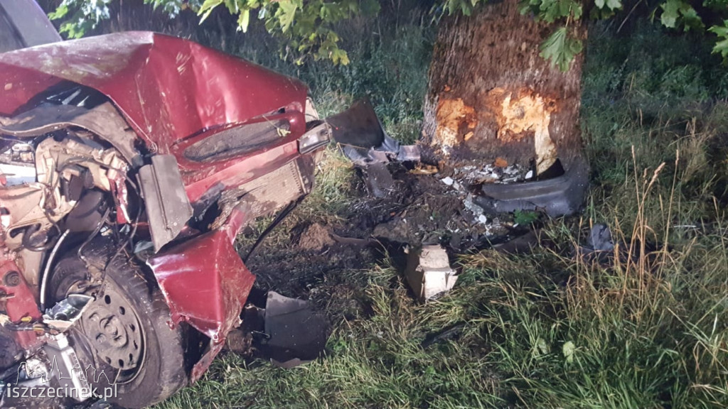 Ford roztrzaskał się na drzewie. Jechało nim trzech młodych mężczyzn
