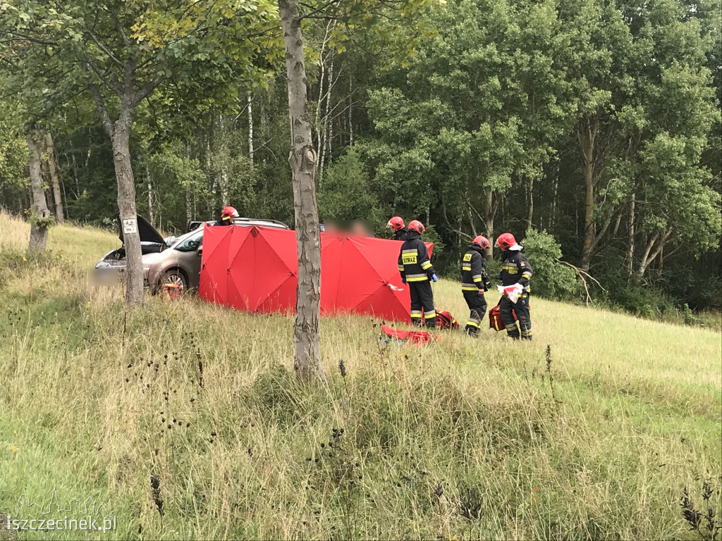 Groźny wypadek na pod Jeleniem (DK-20). Jedna osoba ranna