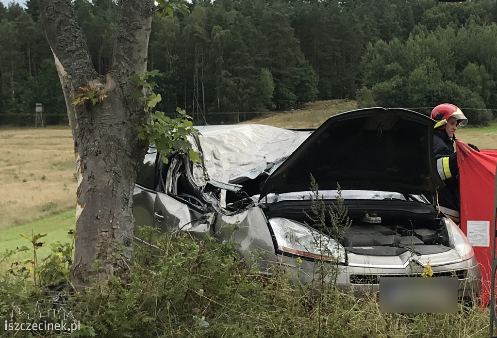 Groźny wypadek na pod Jeleniem (DK-20). Jedna osoba ranna
