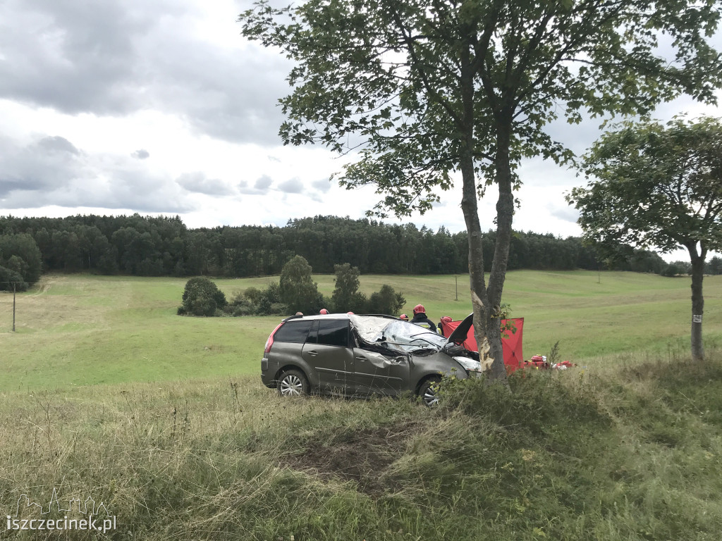 Groźny wypadek na pod Jeleniem (DK-20). Jedna osoba ranna