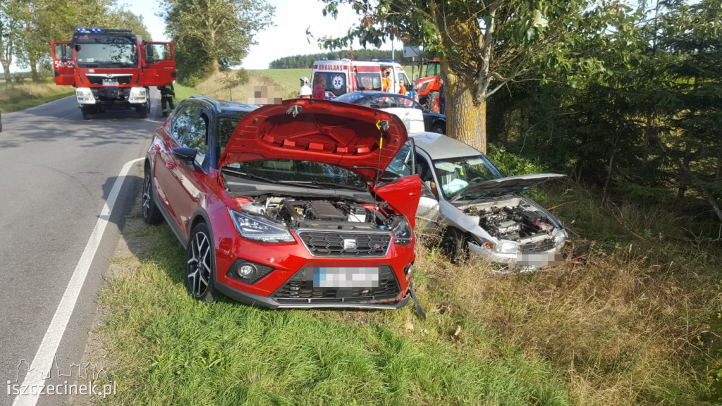 Wypadek pod Parsęckiem. Jedna osoba zabrana do szpitala