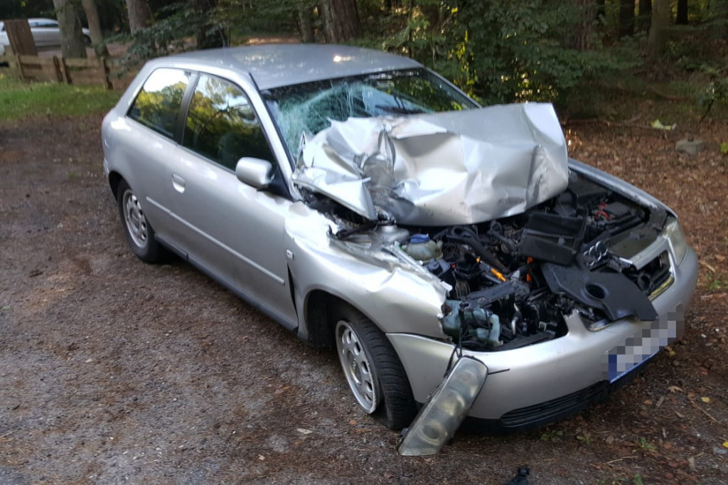 Rozpędzone audi wjechało w tył ciężarówki. Niebezpiecznie na DK-20