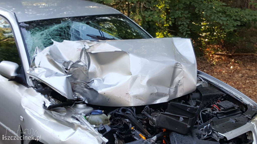 Rozpędzone audi wjechało w tył ciężarówki. Niebezpiecznie na DK-20