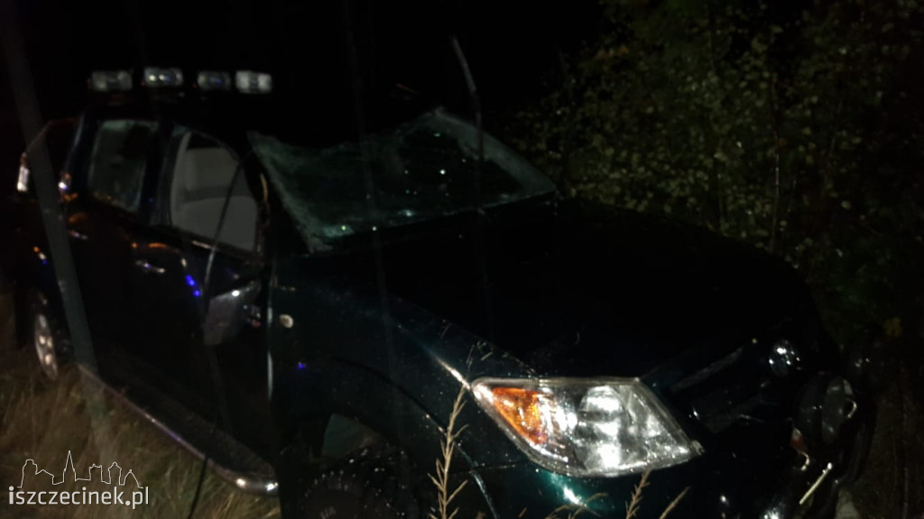 Toyota uderzyła w dzika i przewróciła się na bok