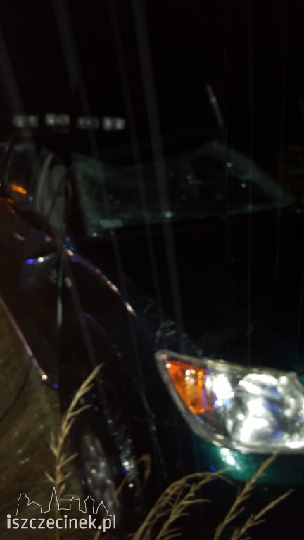 Toyota uderzyła w dzika i przewróciła się na bok