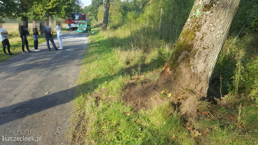 Uderzył w drzewo i dachował. Wszystko przez zwierzynę
