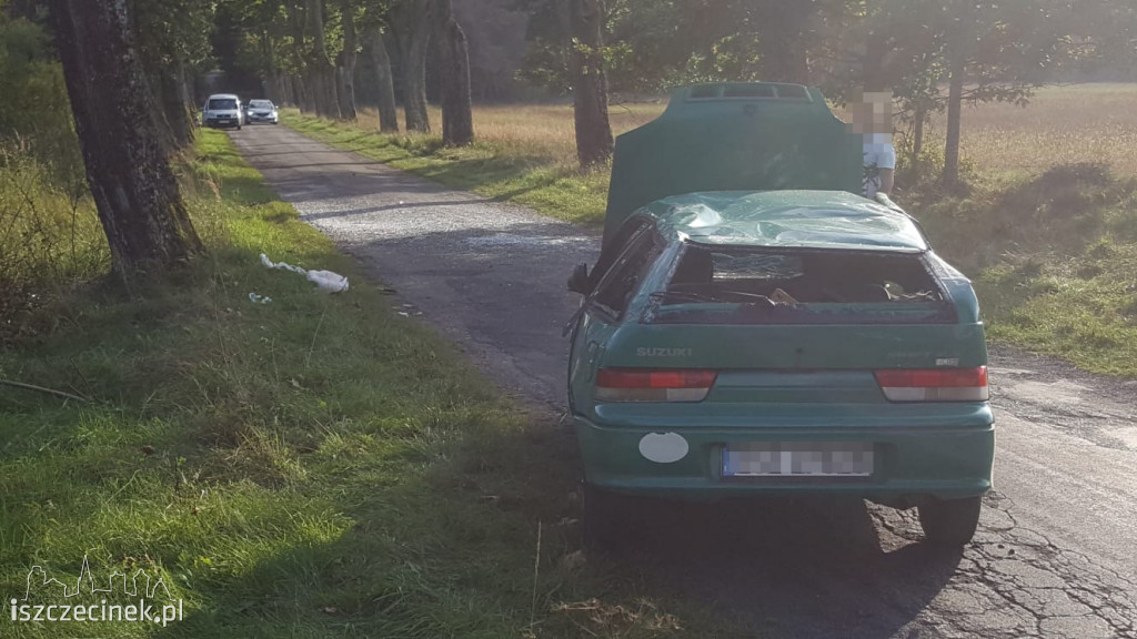 Uderzył w drzewo i dachował. Wszystko przez zwierzynę