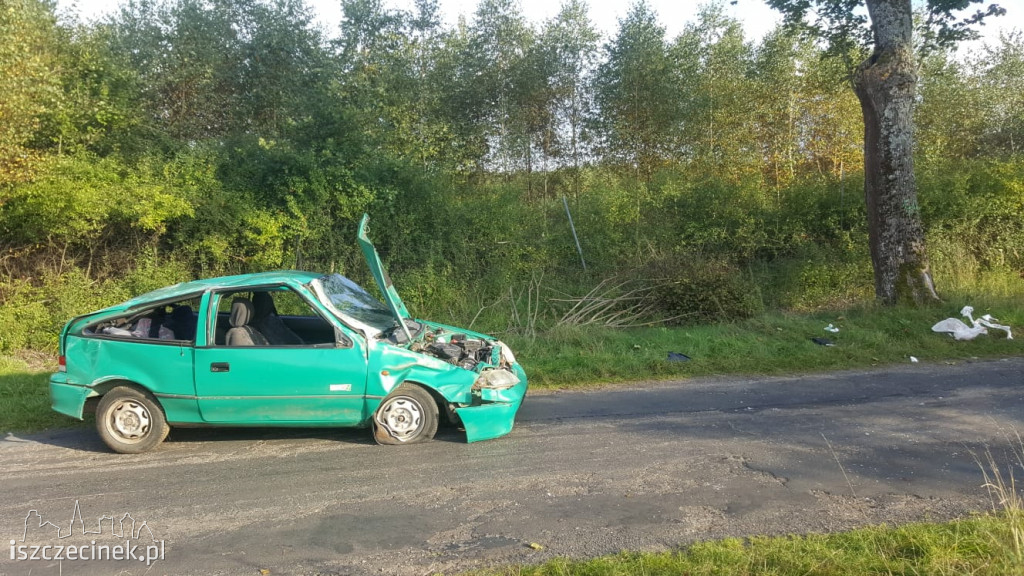 Uderzył w drzewo i dachował. Wszystko przez zwierzynę