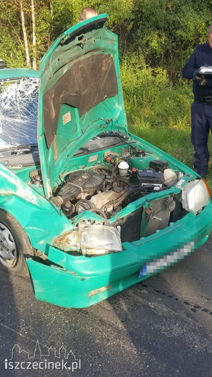 Uderzył w drzewo i dachował. Wszystko przez zwierzynę