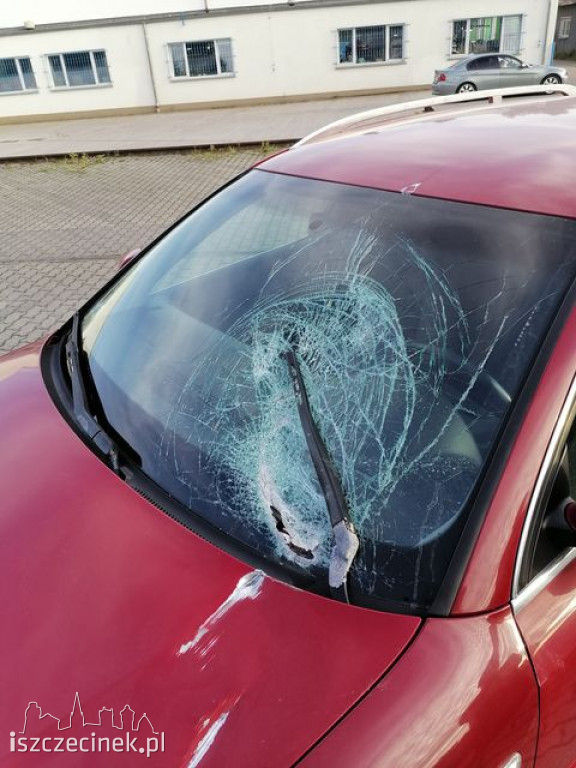 Poszukiwani świadkowie zdarzenia drogowego