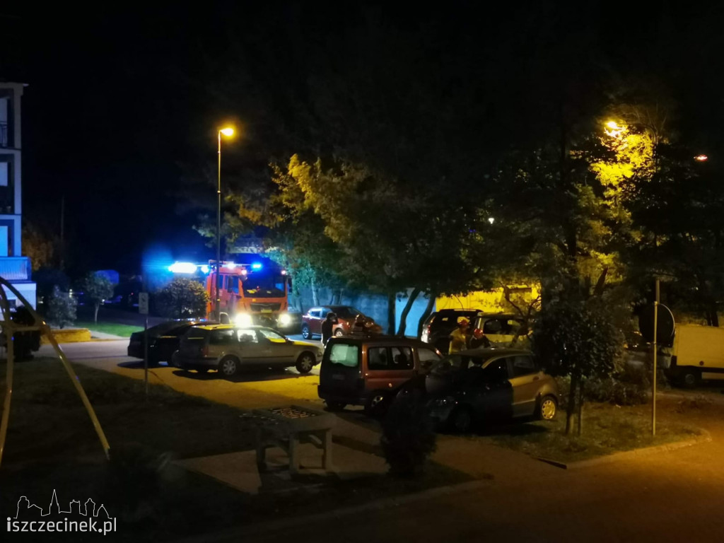 Powalone drzewa, zniszczone samochody. Pracowita noc szczecineckich strażaków