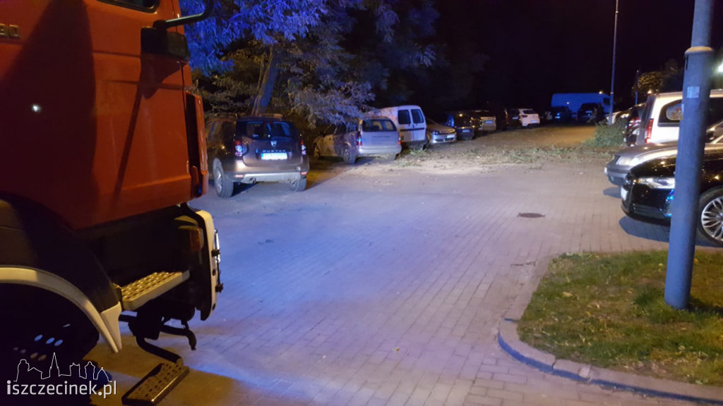 Powalone drzewa, zniszczone samochody. Pracowita noc szczecineckich strażaków