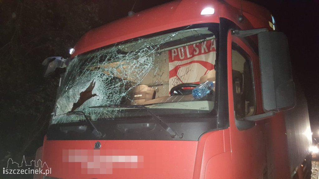 Powalone drzewa, zniszczone samochody. Pracowita noc szczecineckich strażaków