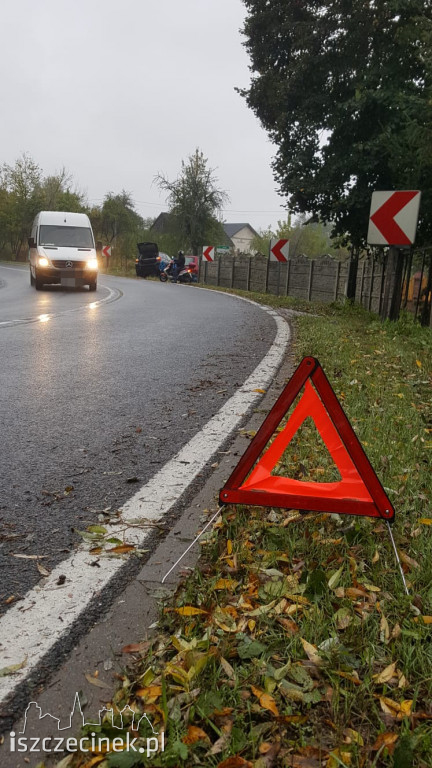 Jeleń. Subaru wypadło z drogi