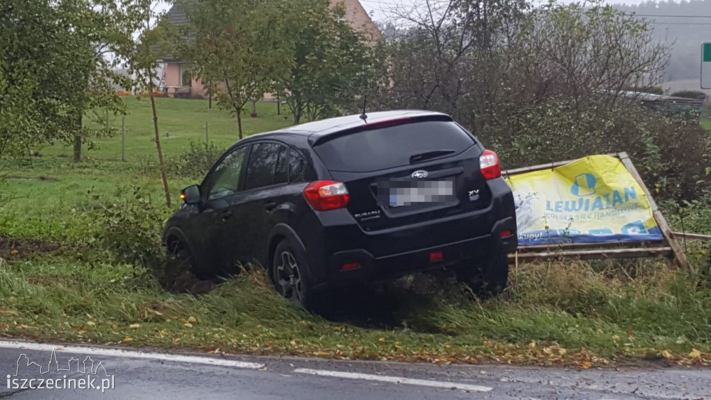 Jeleń. Subaru wypadło z drogi