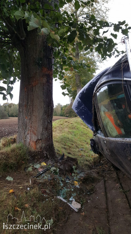Passat uderzył w drzewo