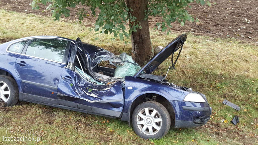 Passat uderzył w drzewo