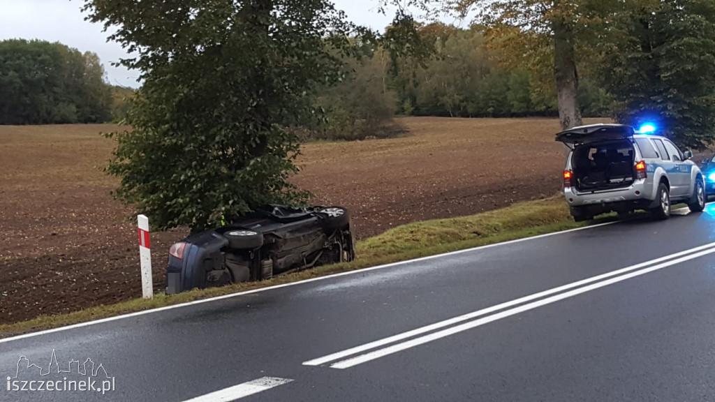 Passat uderzył w drzewo