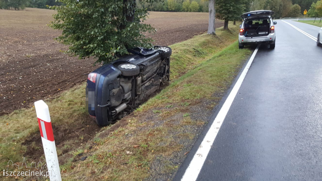 Passat uderzył w drzewo