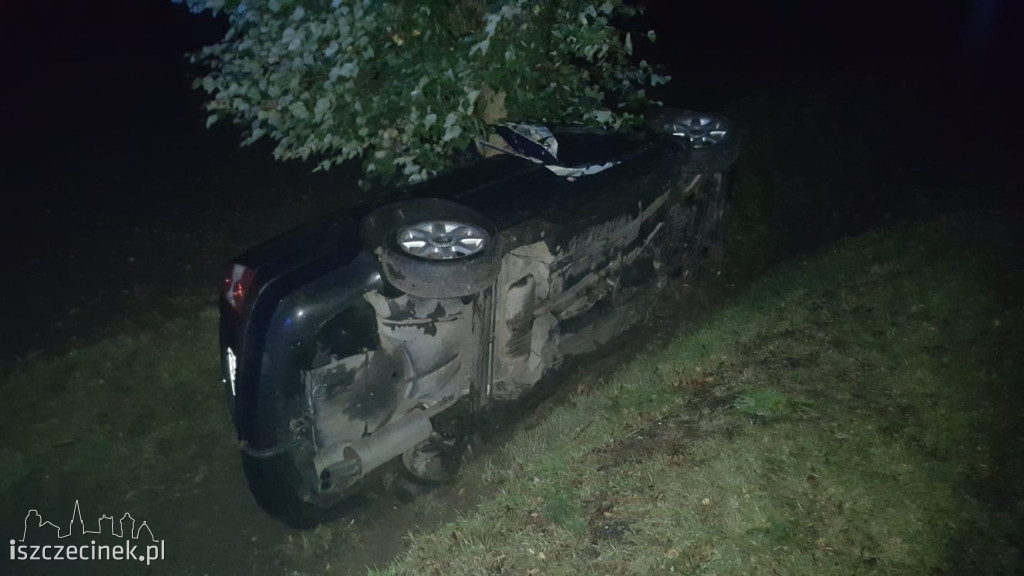 Passat uderzył w drzewo