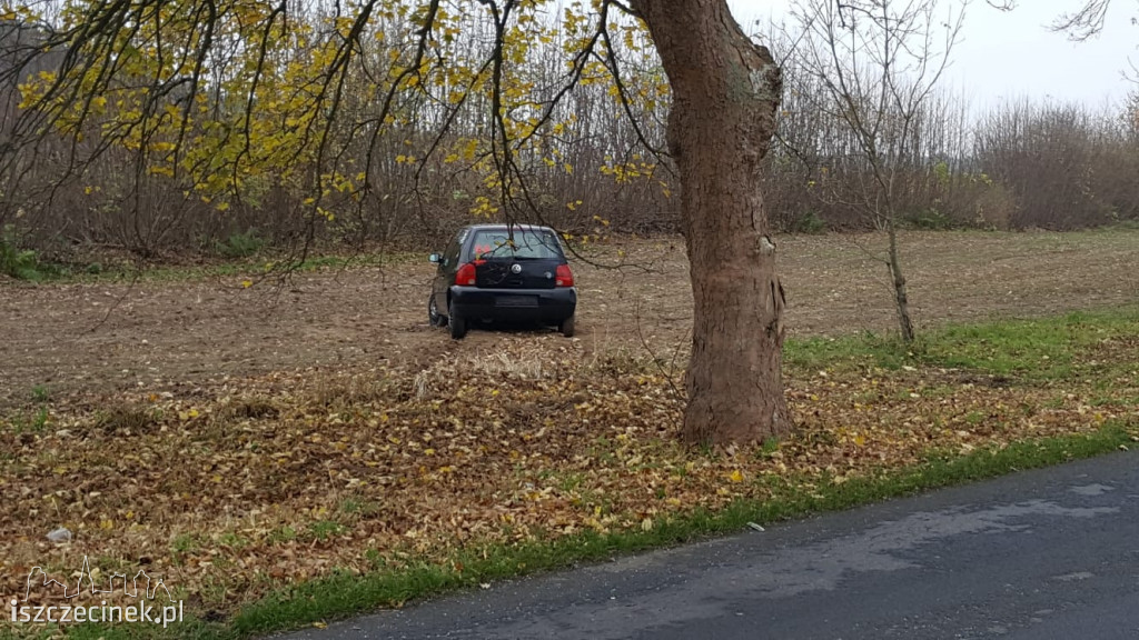 Volkswagen uderzył w drzewo