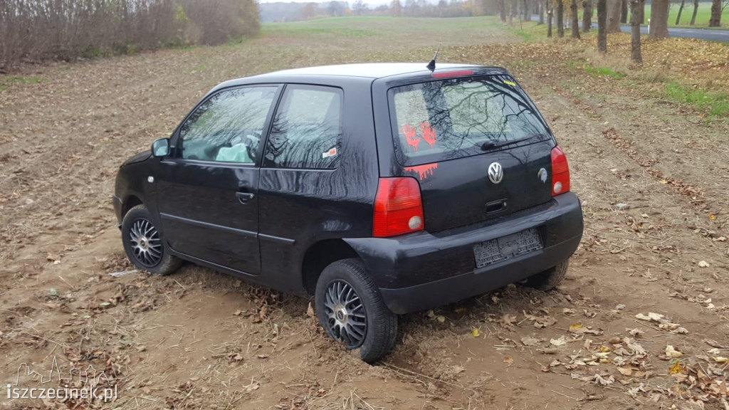 Volkswagen uderzył w drzewo